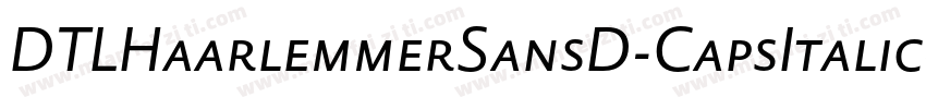 DTLHaarlemmerSansD-CapsItalic字体转换