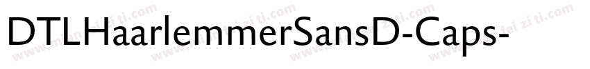 DTLHaarlemmerSansD-Caps字体转换