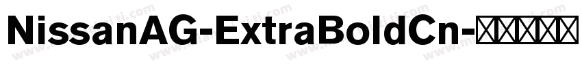 NissanAG-ExtraBoldCn字体转换