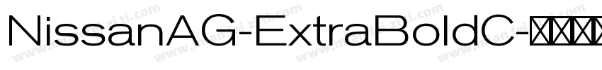 NissanAG-ExtraBoldC字体转换