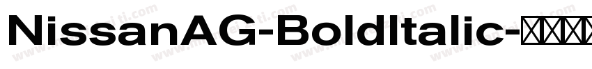 NissanAG-BoldItalic字体转换