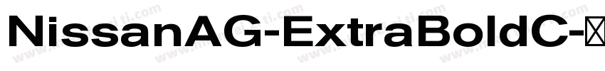 NissanAG-ExtraBoldC字体转换