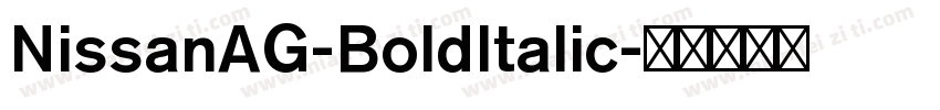 NissanAG-BoldItalic字体转换