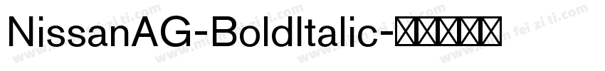NissanAG-BoldItalic字体转换