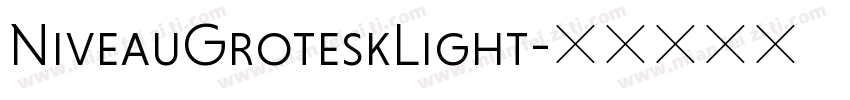NiveauGroteskLight字体转换
