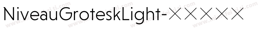 NiveauGroteskLight字体转换