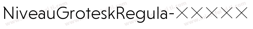 NiveauGroteskRegula字体转换