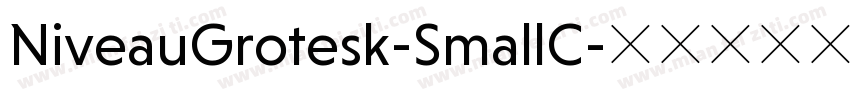 NiveauGrotesk-SmallC字体转换
