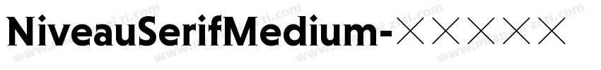 NiveauSerifMedium字体转换
