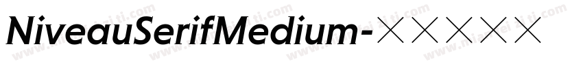 NiveauSerifMedium字体转换