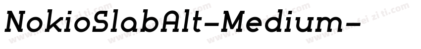 NokioSlabAlt-Medium字体转换
