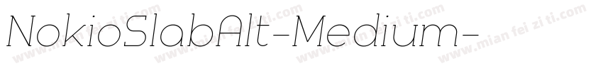 NokioSlabAlt-Medium字体转换