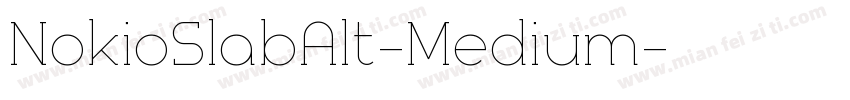 NokioSlabAlt-Medium字体转换