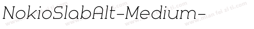 NokioSlabAlt-Medium字体转换