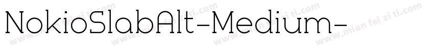 NokioSlabAlt-Medium字体转换