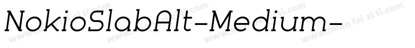 NokioSlabAlt-Medium字体转换