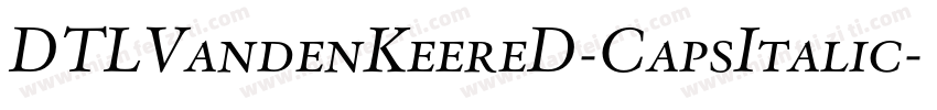 DTLVandenKeereD-CapsItalic字体转换