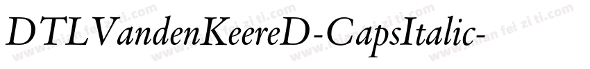 DTLVandenKeereD-CapsItalic字体转换