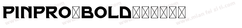 PINPRO-BOLD字体转换
