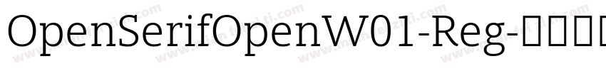 OpenSerifOpenW01-Reg字体转换