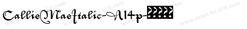 CallieMaeItalic-A14p字体转换