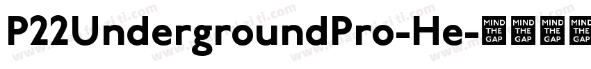 P22UndergroundPro-He字体转换