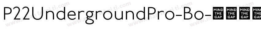 P22UndergroundPro-Bo字体转换
