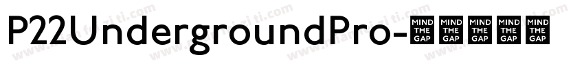 P22UndergroundPro字体转换