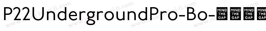 P22UndergroundPro-Bo字体转换