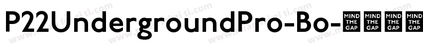 P22UndergroundPro-Bo字体转换