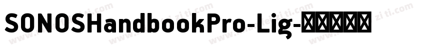 SONOSHandbookPro-Lig字体转换