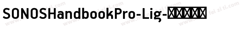SONOSHandbookPro-Lig字体转换
