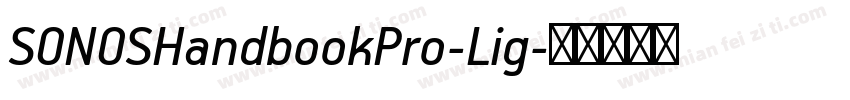 SONOSHandbookPro-Lig字体转换