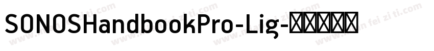 SONOSHandbookPro-Lig字体转换