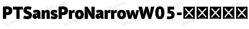 PTSansProNarrowW05字体转换
