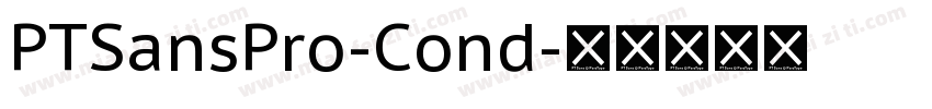 PTSansPro-Cond字体转换