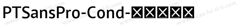 PTSansPro-Cond字体转换