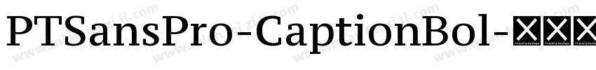 PTSansPro-CaptionBol字体转换