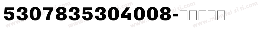 5307835304008字体转换