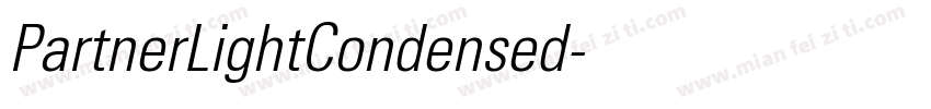 PartnerLightCondensed字体转换