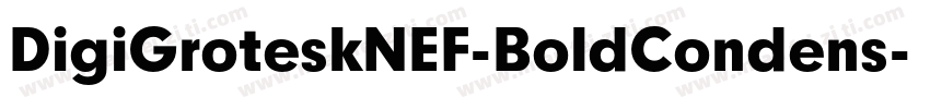 DigiGroteskNEF-BoldCondens字体转换