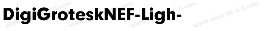 DigiGroteskNEF-Ligh字体转换
