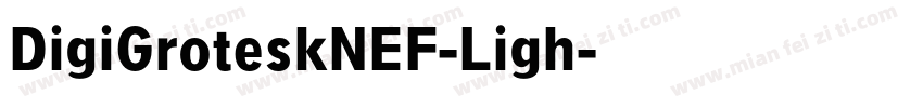 DigiGroteskNEF-Ligh字体转换