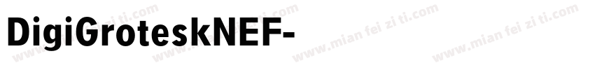 DigiGroteskNEF字体转换