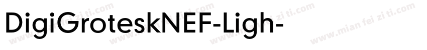 DigiGroteskNEF-Ligh字体转换