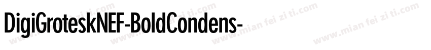 DigiGroteskNEF-BoldCondens字体转换