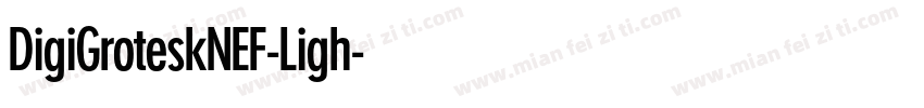 DigiGroteskNEF-Ligh字体转换