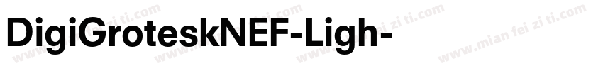 DigiGroteskNEF-Ligh字体转换