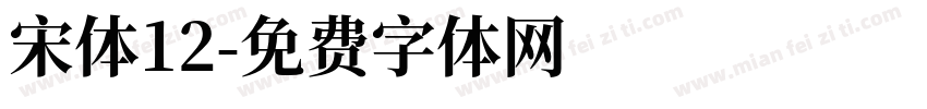 宋体12字体转换