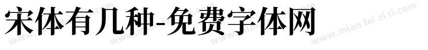 宋体有几种字体转换